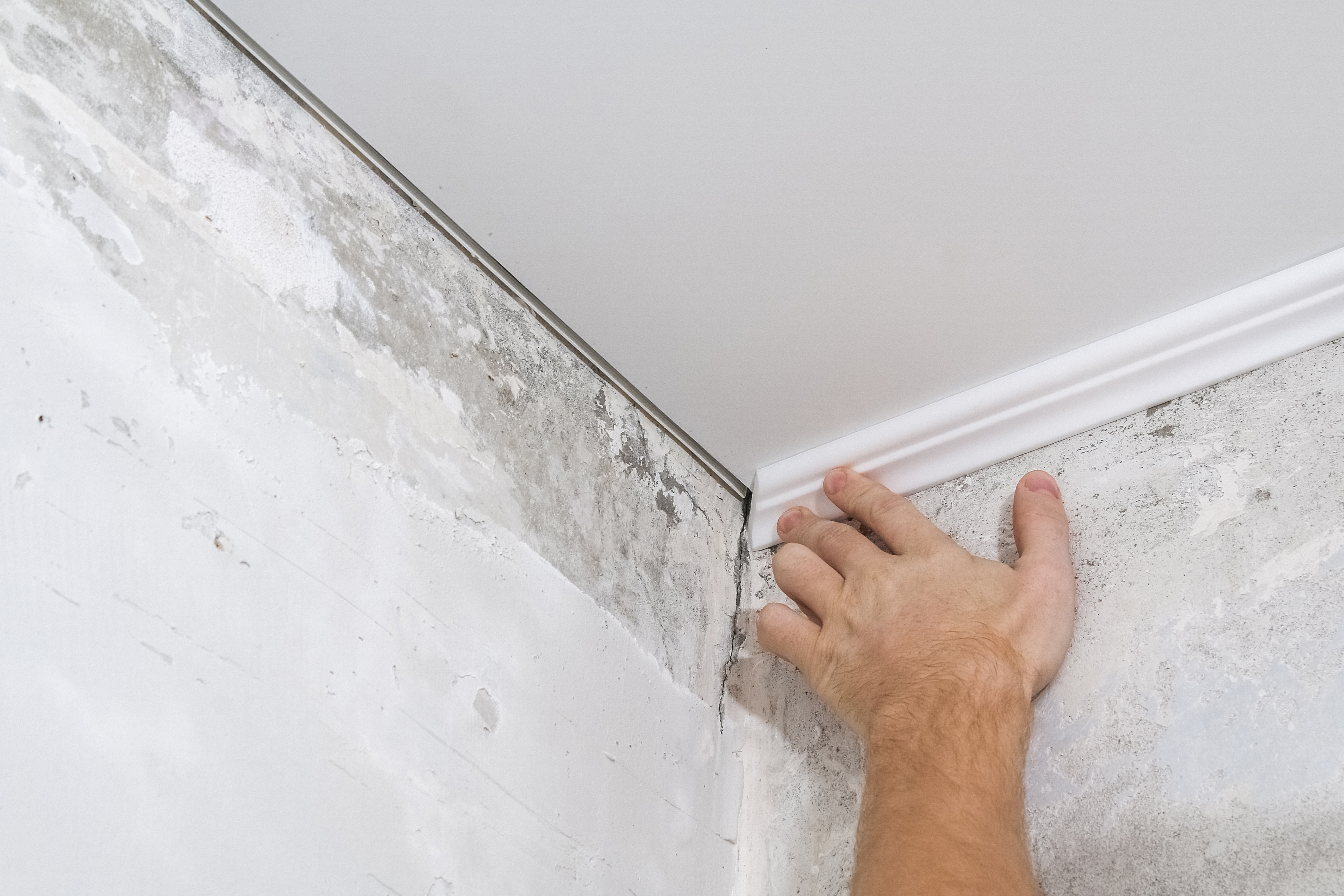 Worker Fixes the Plastic Molding to Ceiling. Installation of Ceiling Cornice.